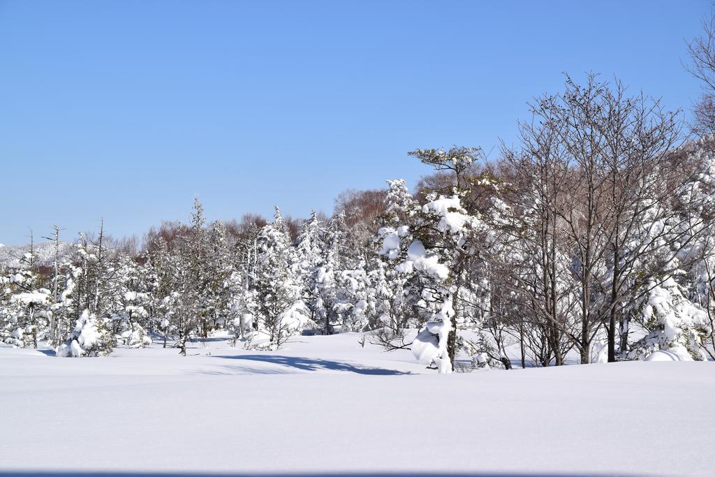 Villa Ichinose Yamanouchi  Exterior photo